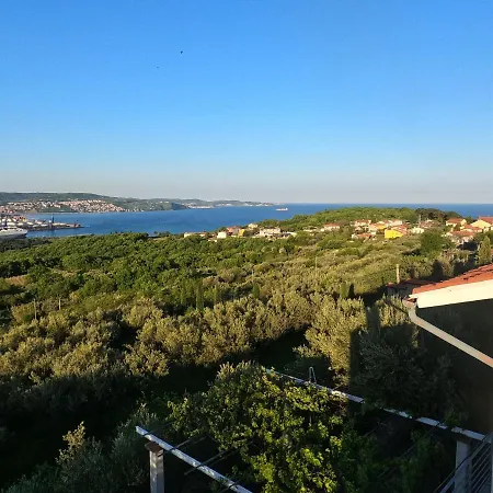 Apartment House Among Olive Trees With A Sea View 1 Ankaran