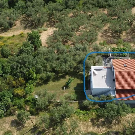 Apartment House Among Olive Trees With A Sea View 1 *
