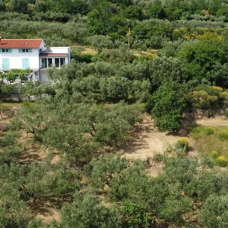 House Among Olive Trees With A Sea View 1