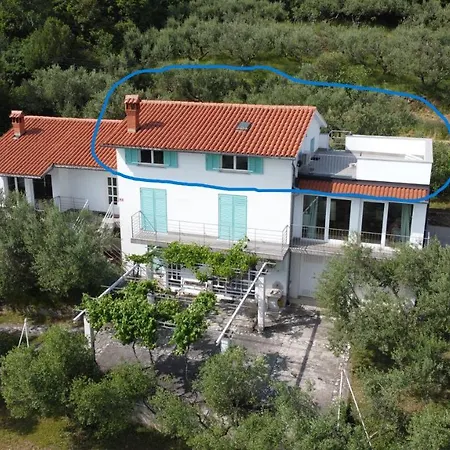House Among Olive Trees With A Sea View 1 Apartment